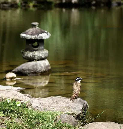 How to Relax, Sleep Better, and Reduce Stress Naturally
