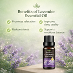 Calm & Balance Lavender Oil – Natural Relaxation & Sleep Support